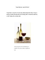 Vang trắng hay vang đỏ tốt hơn? pot