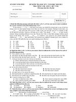 ĐỀ KIỂM TRA HỌC KỲ I NĂM HỌC 2010-2011 Môn: TIẾNG ANH LỚP 12 ppt