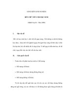 SÁNG KIẾN KINH NGHIỆM RÈN CHỮ VIẾT CHO HỌC SINH docx