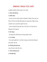 Giáo án Lịch sử lớp 7 : Tên bài dạy : PHONG TRÀO TÂY SƠN pps