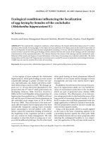 Báo cáo lâm nghiệp: 