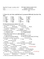 THE FIRST TERM EXAMINATION SUBJECT: ENGLISH ACADEMIC YEAR: 2010-2011 (01) potx