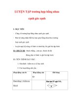 Giáo án môn Toán lớp 7 : Tên bài dạy : LUYỆN TẬP trường hợp bằng nhau cạnh góc cạnh ppsx