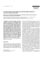 Báo cáo khoa học: 