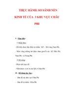 Giáo án Địa Lý 7 : Tên bài dạy : THỰC HÀNH: SO SÁNH NỀN KINH TẾ CỦA 3 KHU VỰC CHÂU PHI pot