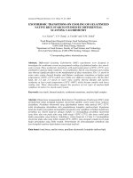 Báo cáo vật lý: 