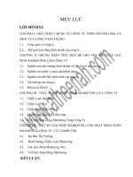 Giải pháp marketing cho hoạt động kinh doanh của công ty TNHH thương mại và dịch vụ cường toàn thắng