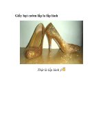 Giầy hạt cườm lấp la lấp lánh pptx