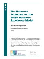 The Balanced Scorecard vs. the EFQM Business Excellence Model pot