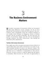 world bank the effectiveness of promotion agencies at attracting foreign direct investment phần 4 pdf