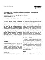 Báo cáo khoa học: 