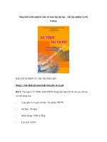 Sáng kiến kinh nghiệm môn kế toán lớp đại học – bài tập nghiệp vụ thi trường doc