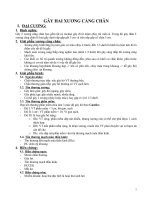 GÃY HAI XƯƠNG CẲNG CHÂN ppt