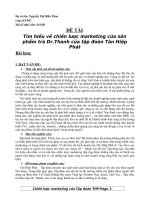 chiến lược mar của tập đoàn tân hiệp phát doc