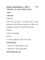 Giáo án môn sinh lớp 6 - Tiết 17 VẬN CHUYỂN CÁC CHẤT TRONG THÂN docx