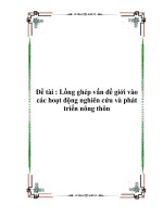 Đề tài : Lồng ghép vấn đề giới vào các hoạt động nghiên cứu và phát triển nông thôn pdf