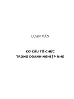 LUẬN VĂN: CƠ CẤU TỔ CHỨC TRONG DOANH NGHIỆP NHỎ pot