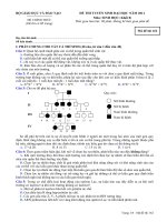 TỔNG HỢP ĐỀ THI MÔN SINH KHỐI B ppsx