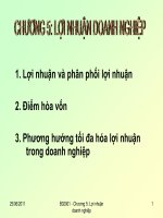 Lợi nhuận và phân phối lợi nhuận pot