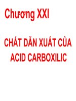 CHẤT DẪN XUẤT CỦA ACID CARBOXILIC pptx