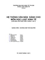HỆ THỐNG VĂN BẢN DÀNH CHO MÔN HỌC LUẬT KINH TẾ ppt