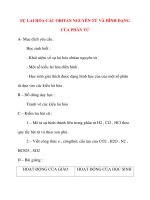 Giáo án Hóa Học lớp 10: SỰ LAI HÓA CÁC OBITAN NGUYÊN TỬ VÀ HÌNH DẠNG CỦA PHÂN TỬ pptx