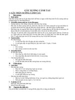 Gãy xương cánh tay ppt