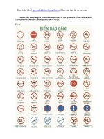 Luật An toàn giao thông và phương pháp lái xe pot