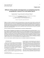 Báo cáo lâm nghiệp: