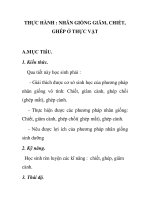 THỰC HÀNH : NHÂN GIỐNG GIÂM, CHIẾT, GHÉP Ở THỰC VẬT pdf