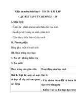 Giáo án môn sinh lớp 6 - Tiết 29: BÀI TẬP CÁC BÀI TẬP TỪ CHƯƠNG I – IV pot