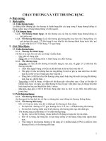 Chấn thương - Vết thương bụng pdf