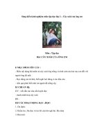 Sáng kiến kinh nghiệm môn tập đọc lớp 2 – Cây xoài của ông em pps