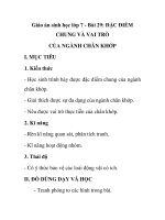 Giáo án sinh học lớp 7 - Bài 29: ĐẶC ĐIỂM CHUNG VÀ VAI TRÒ CỦA NGÀNH CHÂN KHỚP ppt