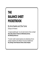 THE BALANCE SHEET POCKET BOOK phần 1 pps
