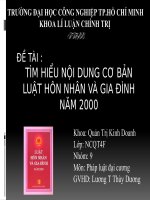 tiểu luận luật hôn nhân và gia đình docx