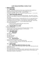 Gãy xương cẳng tay pptx