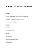 NGHIỆM CỦA ĐA THỨC MỘT BIẾN pot