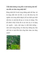 Chất dinh dưỡng trong đất có ảnh hưởng như thế nào đến các khu rừng nhiệt đới? pdf
