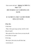 Giáo án môn sinh lớp 6 - Tiết 59: VAI TRÒ CỦA THỰC VẬT ĐỐI VỚI ĐỘNG VẬT VÀ ĐỜI SỐNG CON NGƯỜI pps