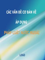 CÁC VẤN ĐỀ CƠ BẢN VỀ ÁP DỤNG PHÁP LUẬT NƯỚC NGOÀI potx