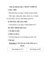 Giáo án sinh học lớp 6 - Bài 50: VI KHUẨN pps