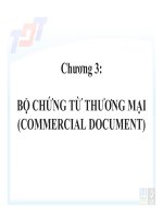 BỘ CHỨNG TỪ THƯƠNG MẠI (COMMERCIAL DOCUMENT) pot