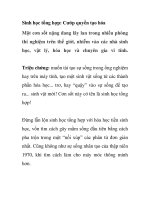 Sinh học tổng hợp: Cướp quyền tạo hóa docx