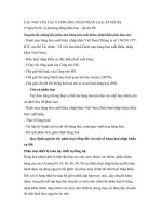 Các nguyên tắc và phương pháp phân loại áp mã HS