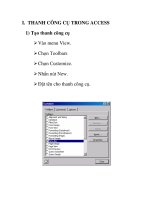 THANH CÔNG CỤ TRONG ACCESS pot