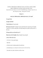 CHƯƠNG TRÌNH KHUNG TRÌNH ĐỘ TRUNG CẤP NGHỀ, CHƯƠNG TRÌNH KHUNG TRÌNH ĐỘ CAO ĐẲNG NGHỀ CHO NGHỀ “HÀN” pptx