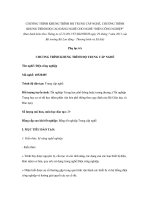 CHƯƠNG TRÌNH KHUNG TRÌNH ĐỘ TRUNG CẤP NGHỀ, CHƯƠNG TRÌNH KHUNG TRÌNH ĐỘ CAO ĐẲNG NGHỀ CHO NGHỀ “ĐIỆN CÔNG NGHIỆP” ppsx