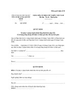 Mẫu quyết định số 03: Quyết định xử phạt vi phạm hành chính bằng hình thức phạt cảnh cáo về sử dụng năng lượng tiết kiệm và hiệu quả theo thủ tục đơn giản docx