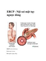 ERCP - Nội soi mật tụy ngược dòng pdf
